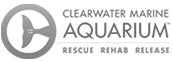 Clearwater Marine Aquarium